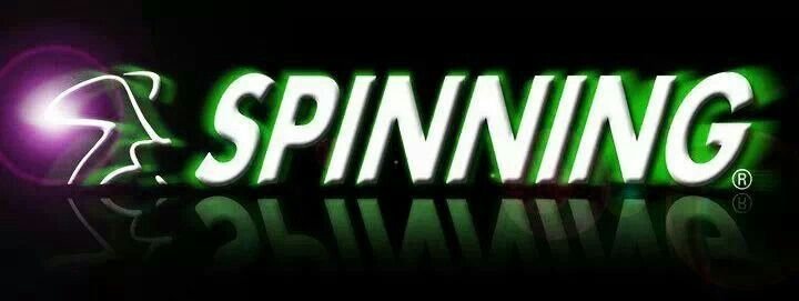 Learn about casino spinboss